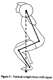 Figure depicts relationship when squatting with barbell between vertical weight force (gravity) and muscular torques generated at hip, knee and angle joints.